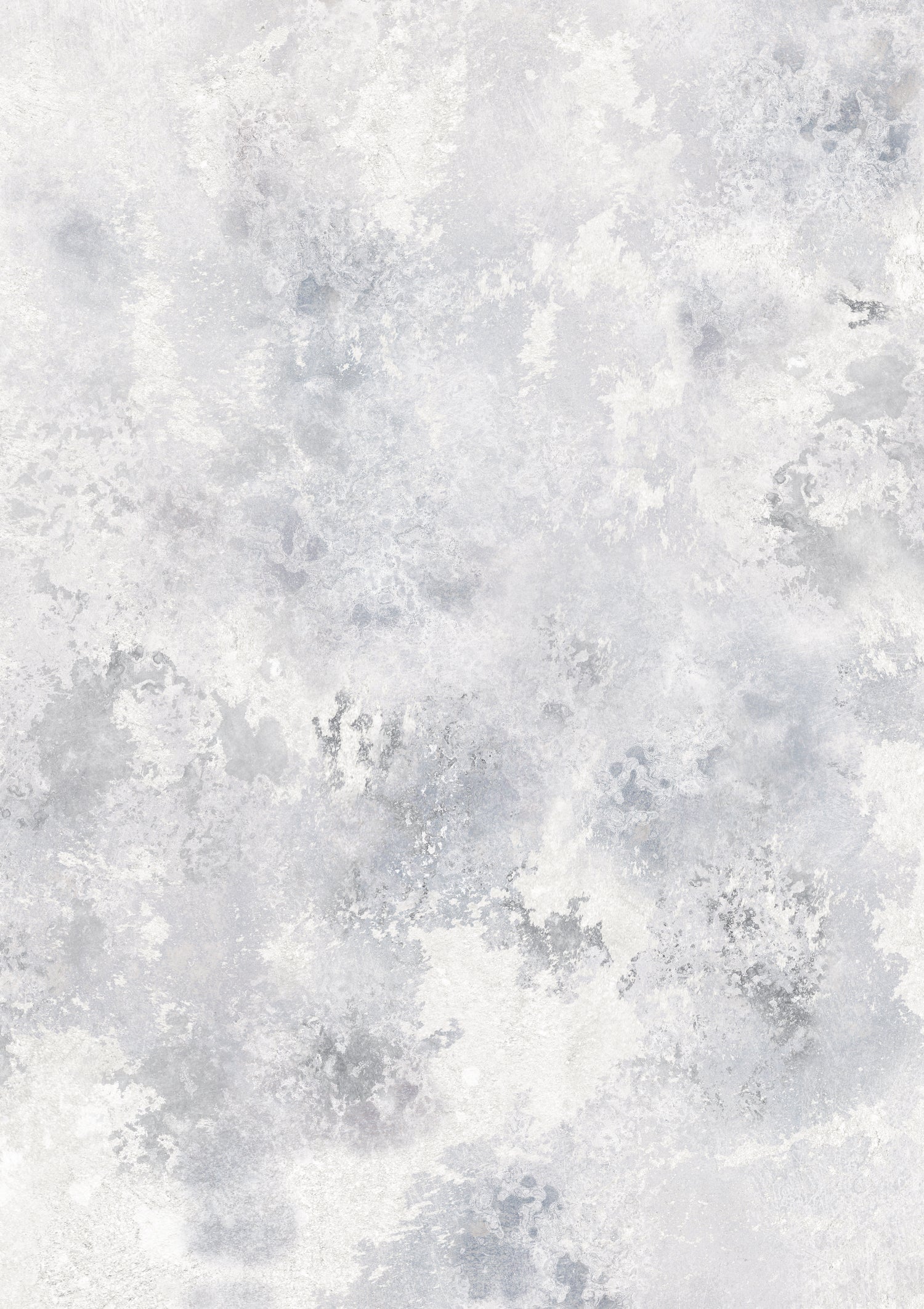 A hand-painted photography backdrop with a dappled grey oyster effect featuring shell-like textures in cool greys and white, with water-worn details.
