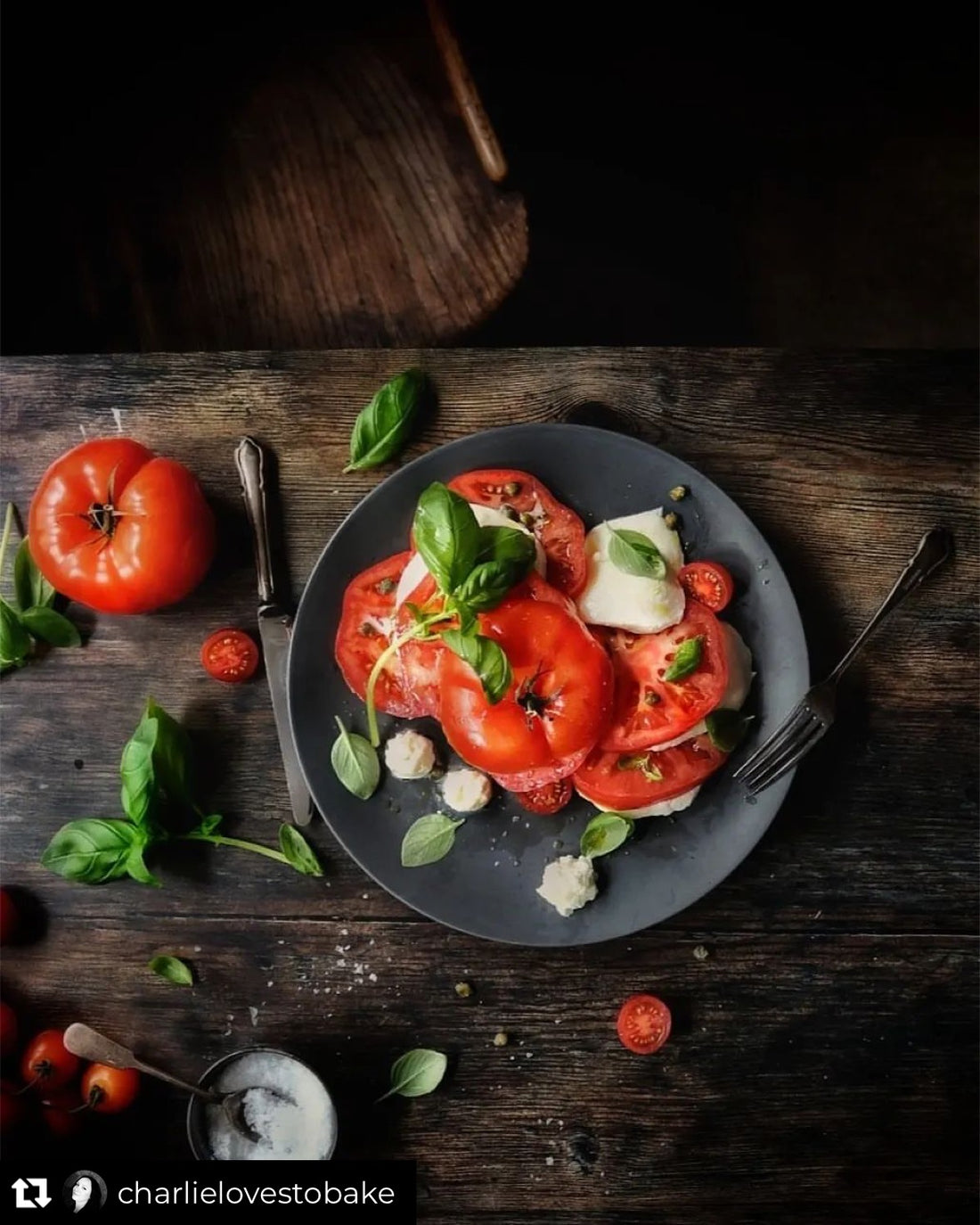 Galley dark wood photography backdrop