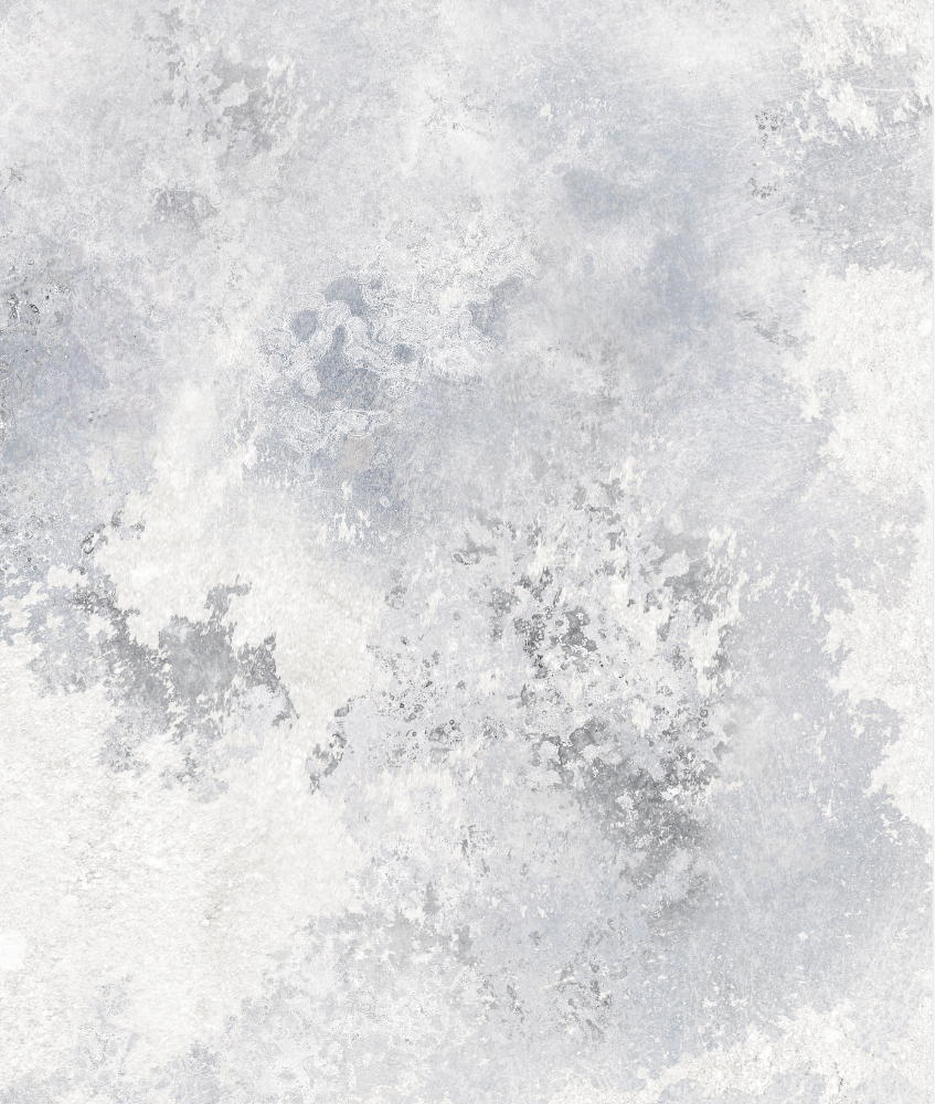 Close up of a dappled grey oyster photography backdrop.