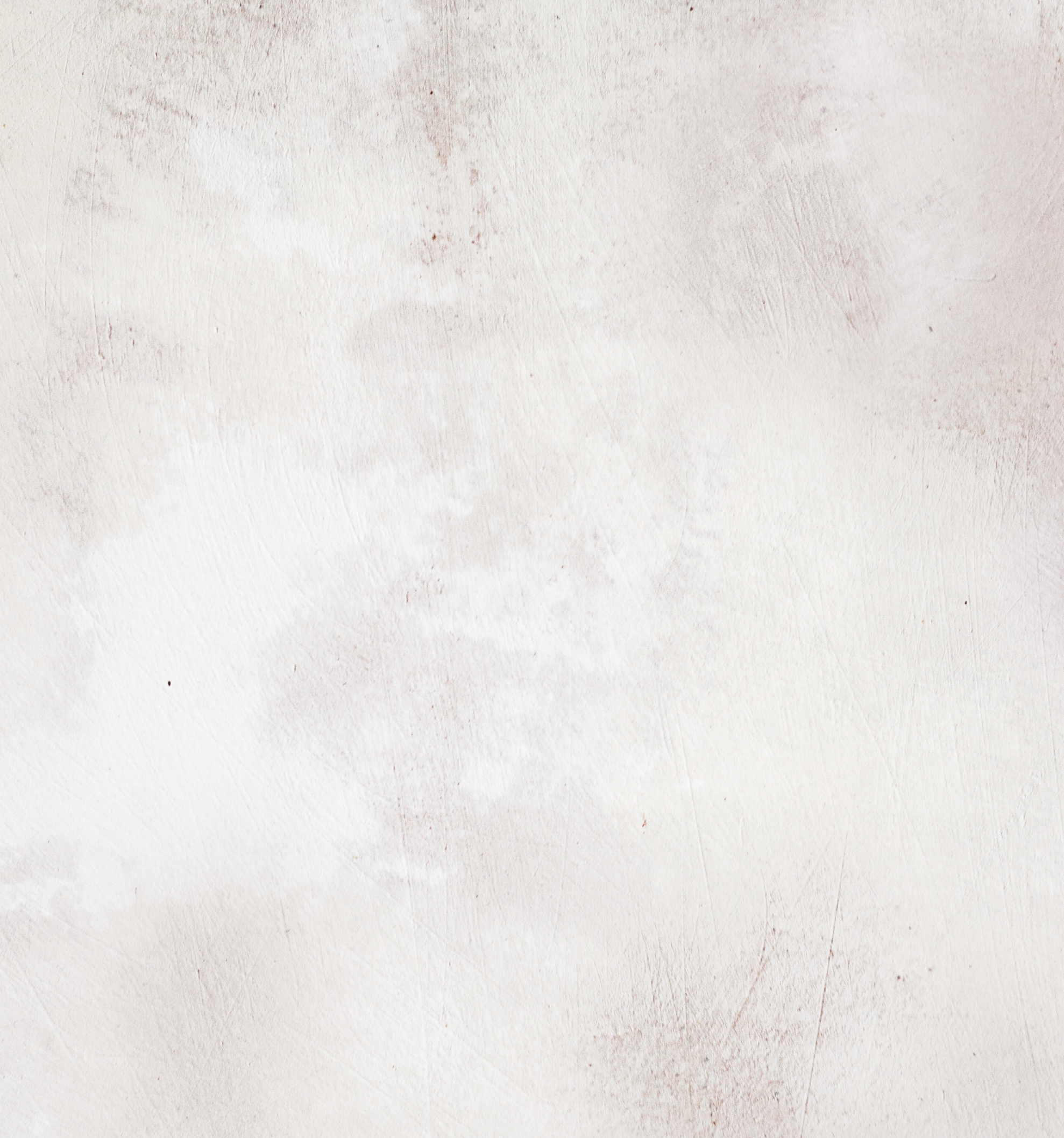 Soy off-white plaster effect photography backdrop