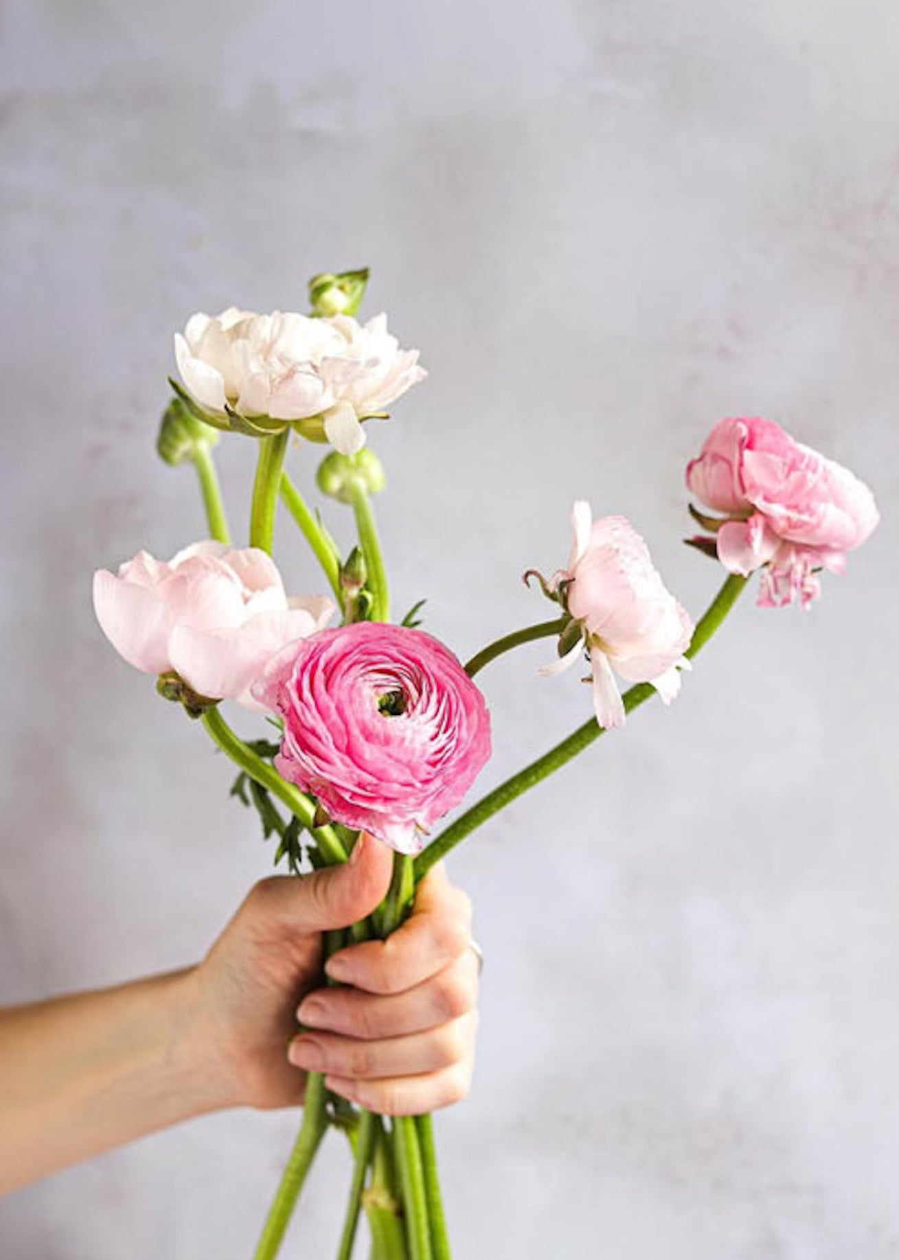 Hand holding a bouquet of pink and white flowers against an off-white plaster effect vinyl photography backdrop with a mottled surface.