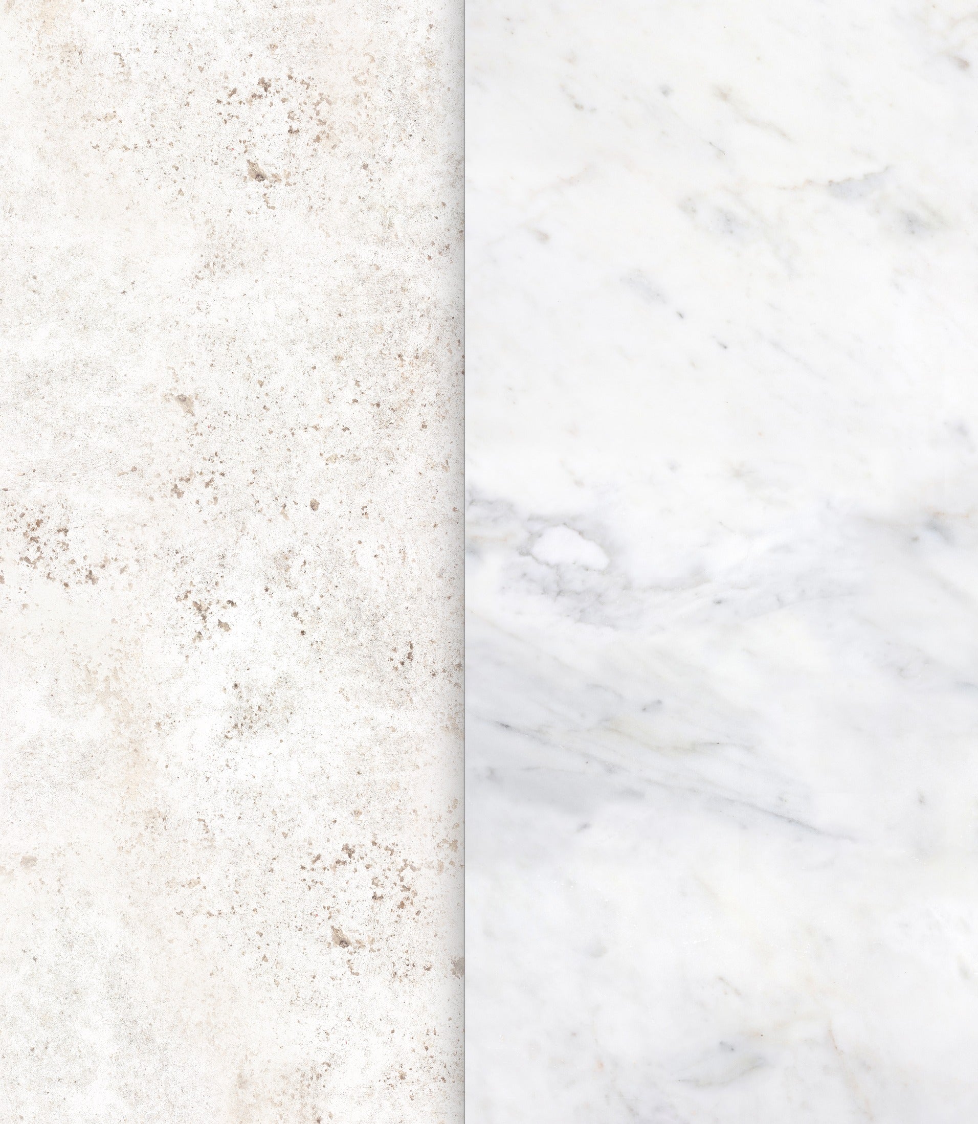 White Backdrops Bundle