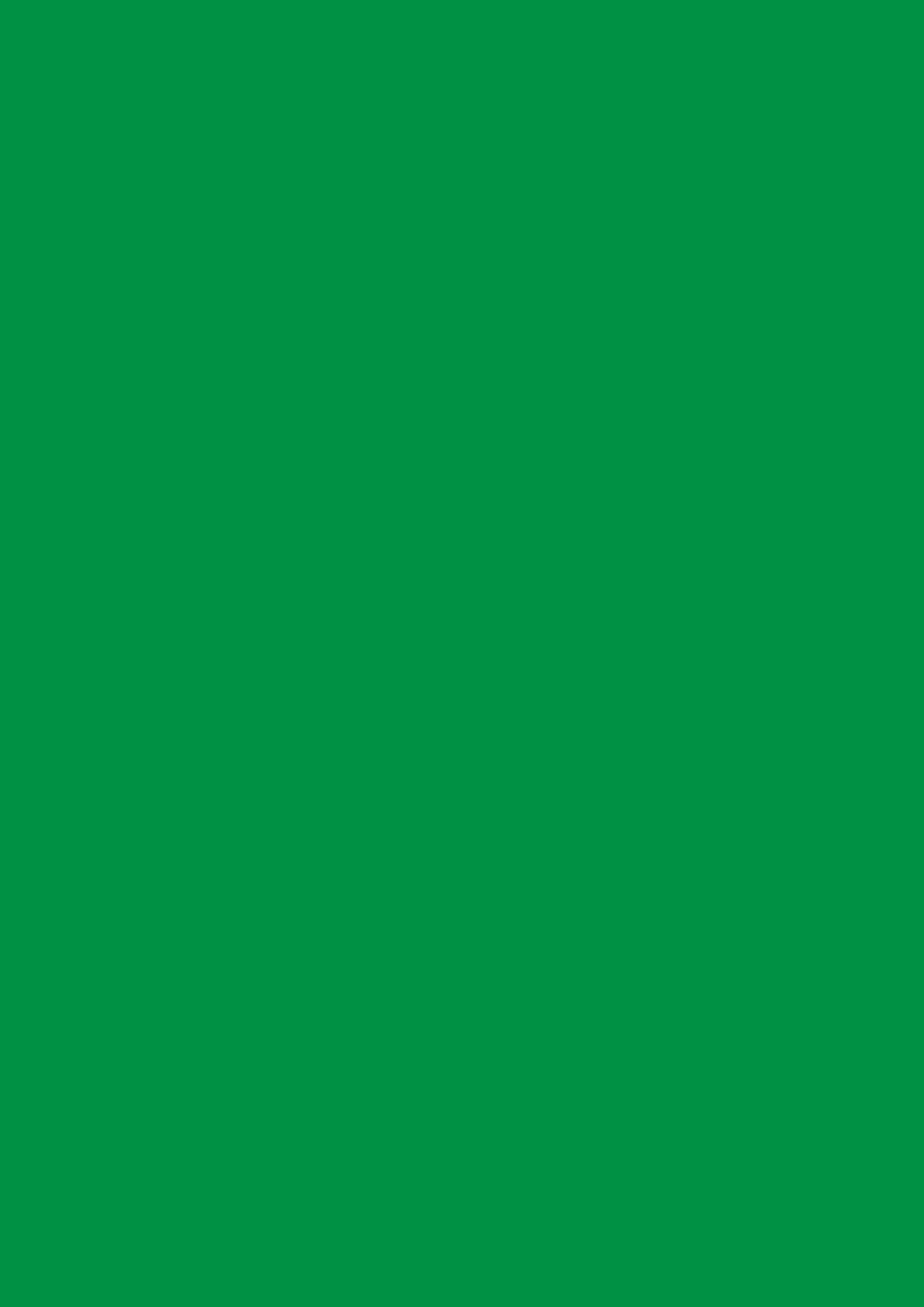 310. CUSTOM. Plain colour backdrop