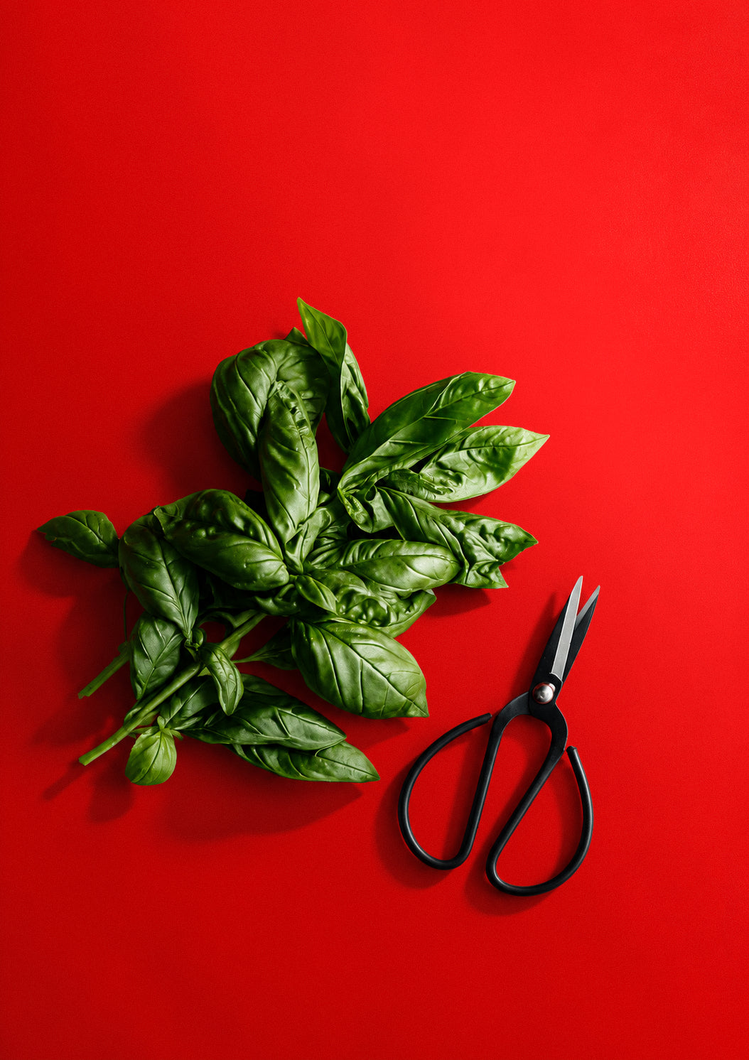 Bright Chilli – solid red photography backdrop
