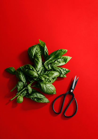 Bright Chilli – solid red photography backdrop