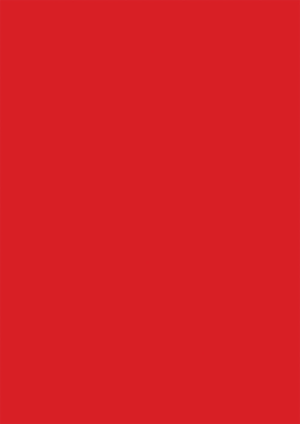 Bright chilli red solid colour photography backdrop swatch
