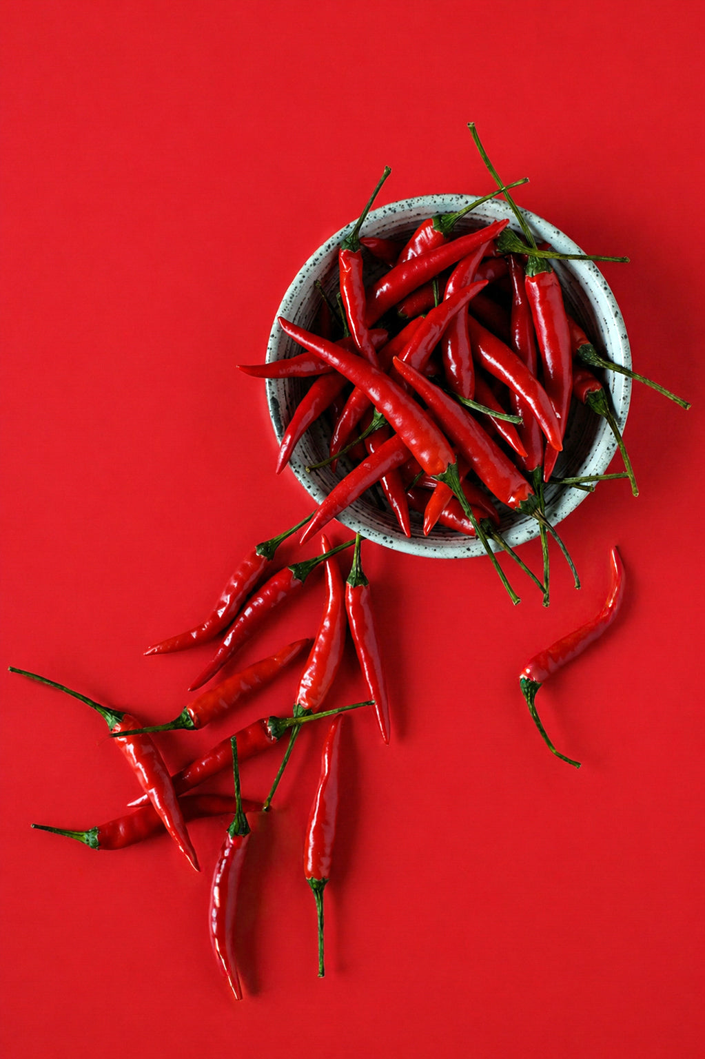 Red chili peppers in a bowl on a red photography background