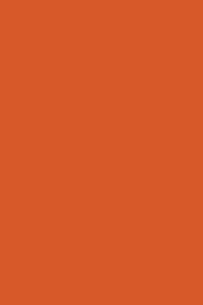 Burnt orange vinyl photography backdrop for food and product photography.