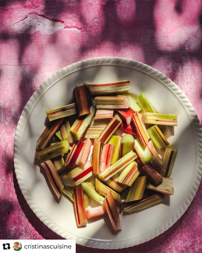 A pink rendered wall effect photography backdrop with plaster holes and contrasting shadows with a plate of fresh rhubarb