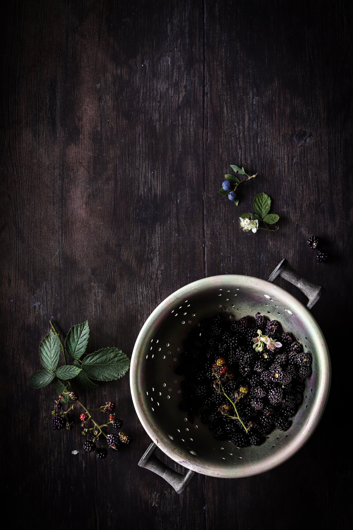 Colander with blackberries on a dark wooden surface