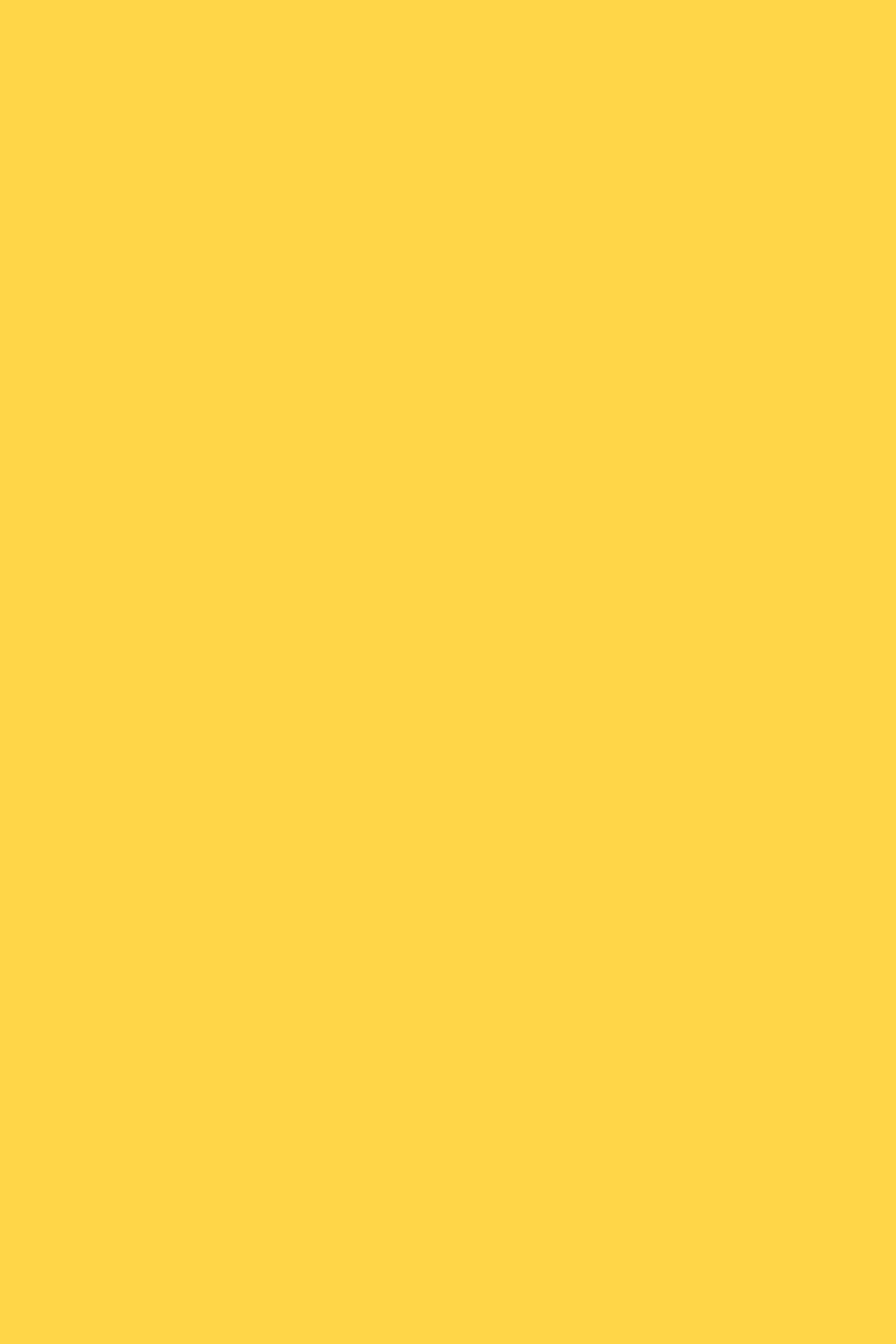 Marigold yellow vinyl photography backdrop for food and product photography.