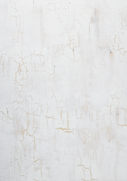White rustic wood photography backdrop with cracks and peeling paint.
