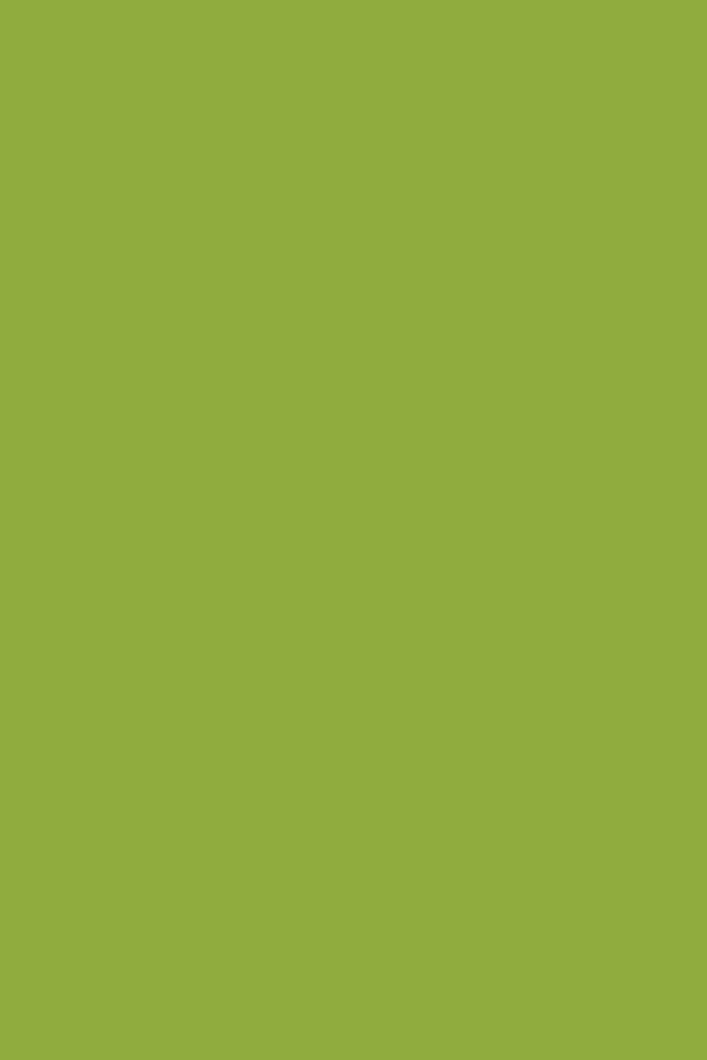 Lime green vinyl photography backdrop for food and product photography.