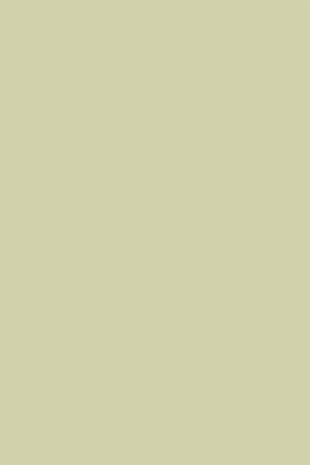 A solid, muted light olive green vinyl photography backdrop for food photography and product photography.