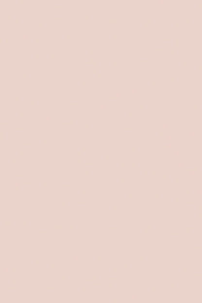 A solid, warm pale pink vinyl photography backdrop for food photography and product photography.