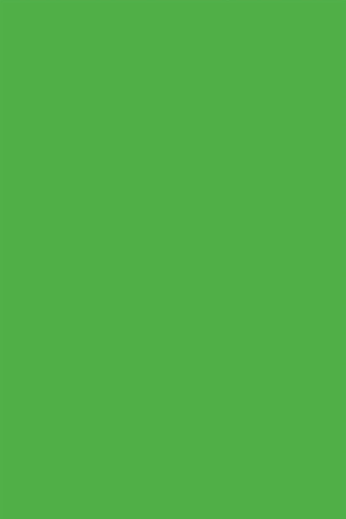 Spring Green solid colour photography backdrop