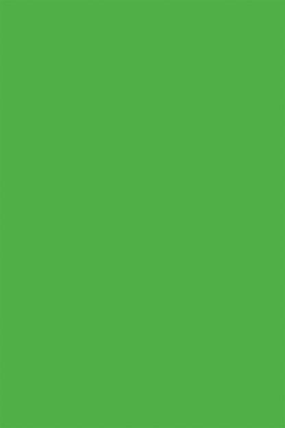Spring Green solid colour photography backdrop