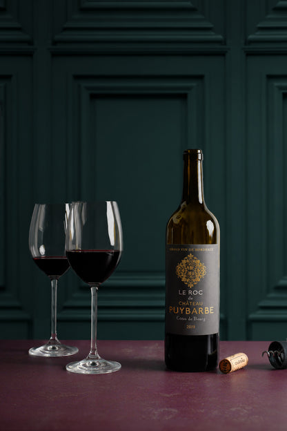 Turene – bottle green panelled wall effect photography backdrop