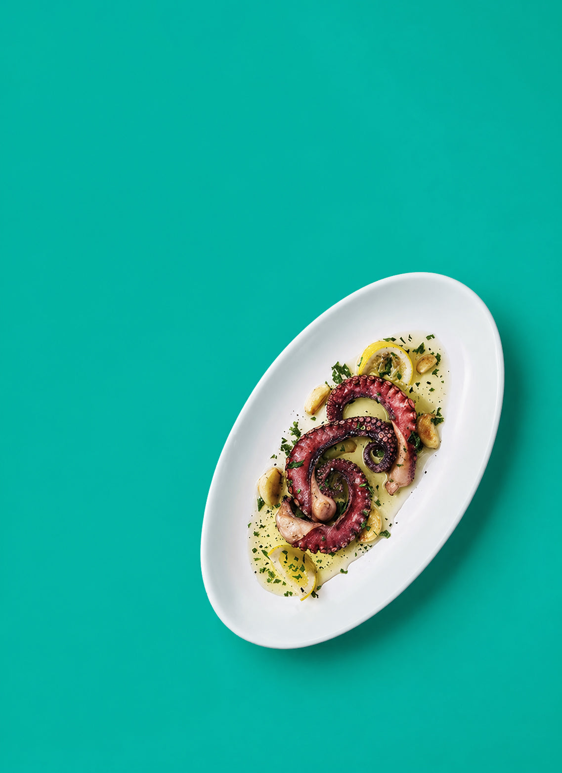 Plated dish of octopus on a teal photography background
