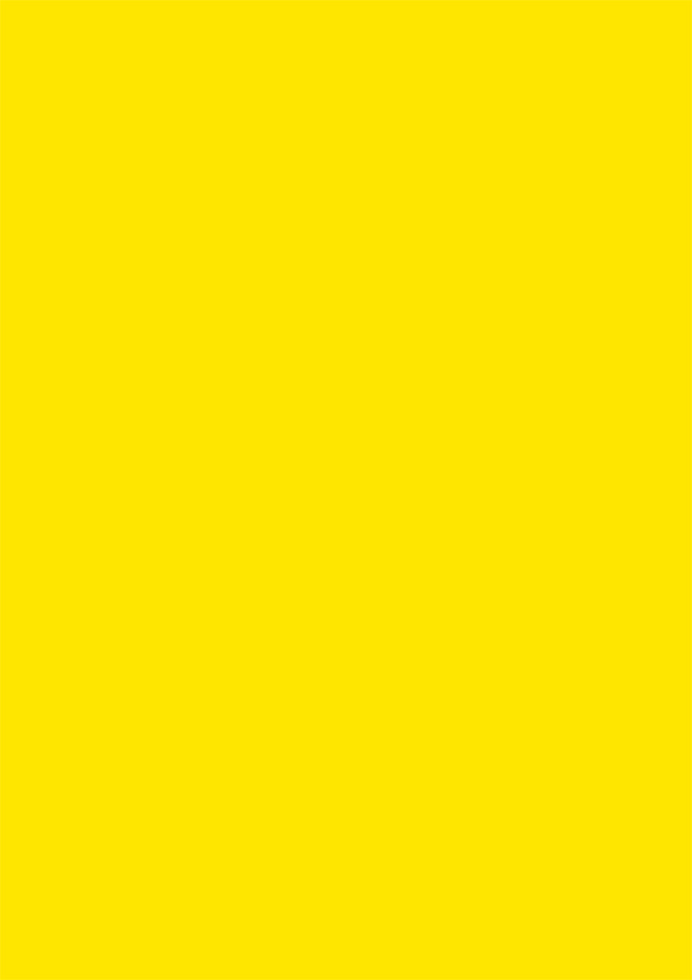 Vivid yellow solid colour photography backdrop 