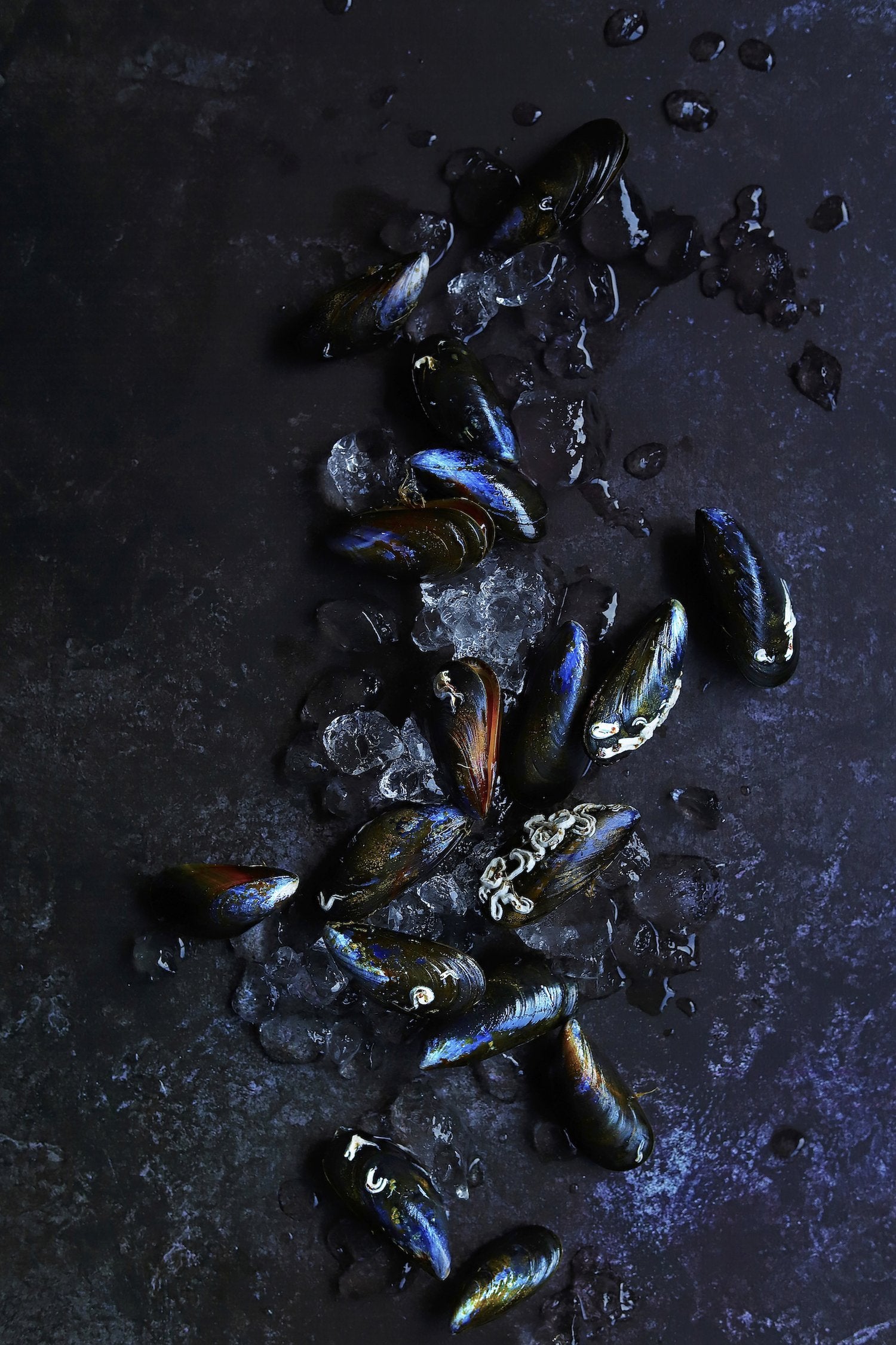Mussels shot against a hand-painted mottled effect vinyl photography backdrop in mixed dark greys with highlights of blue.