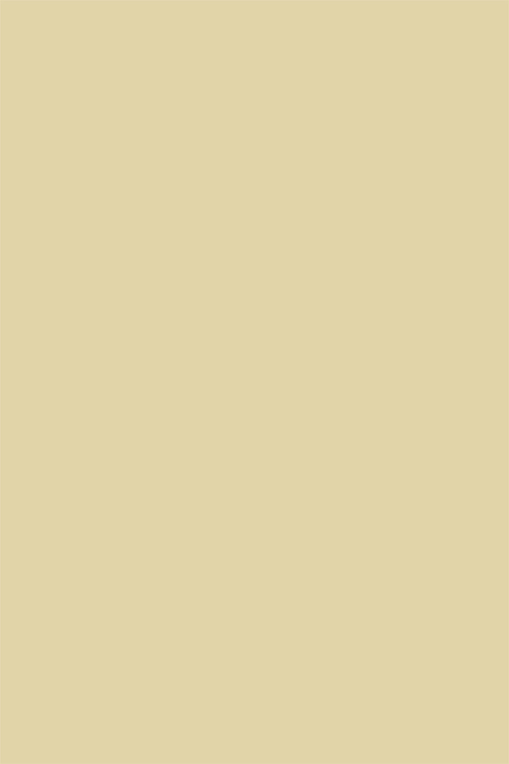 A warm light beige vinyl photography backdrop for food photography and product photography.