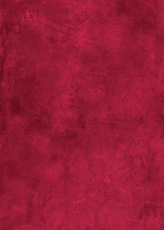 A close-up image of a red plaster-effect photography backdrop with a textured surface.